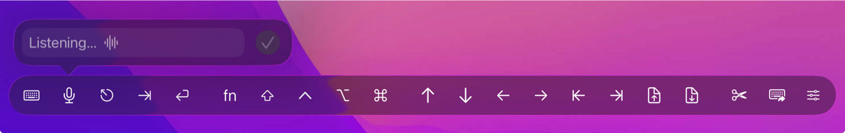 Dettatura iPad